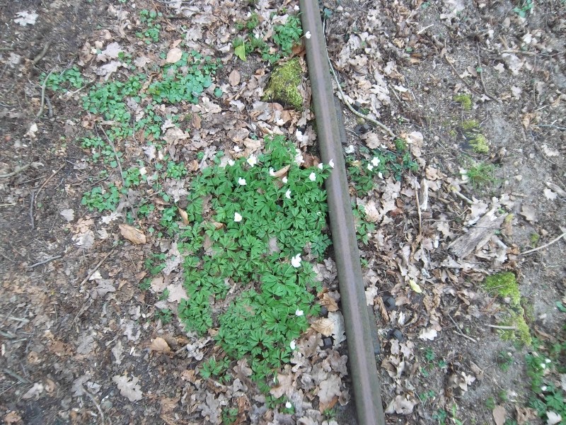 Bahnhof8